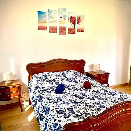 L Indemodable Renove Spacieux Et Lumineux Avec 2 Chambres Sarrebourg Eksteriør billede