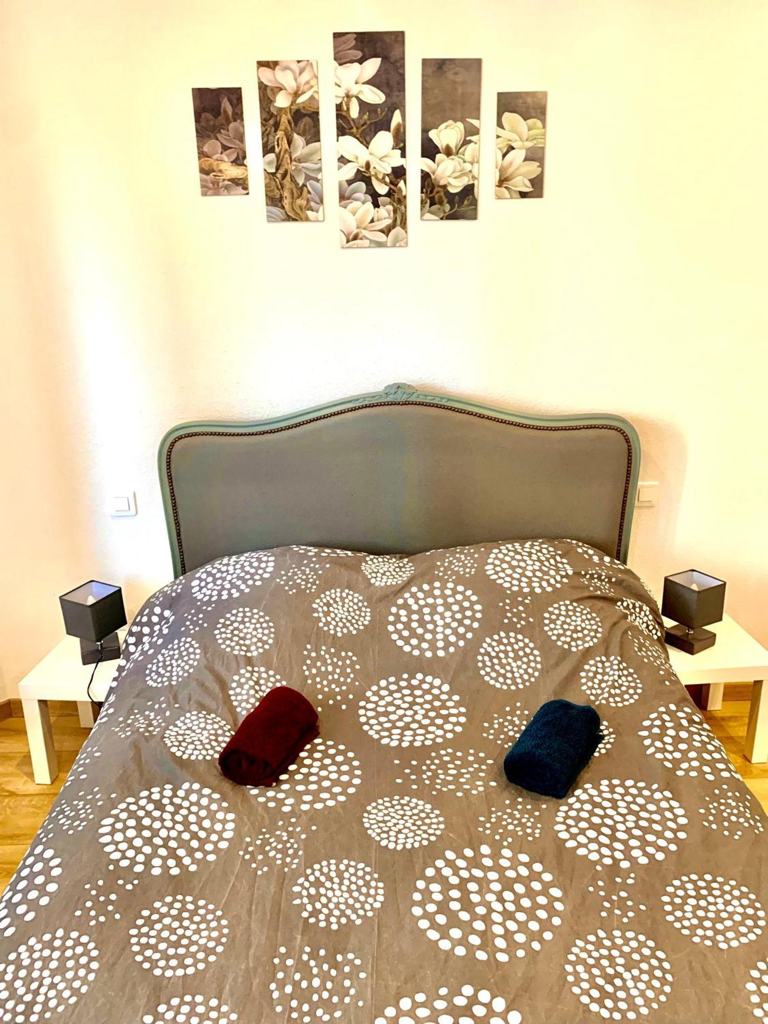 L Indemodable Renove Spacieux Et Lumineux Avec 2 Chambres Sarrebourg Eksteriør billede