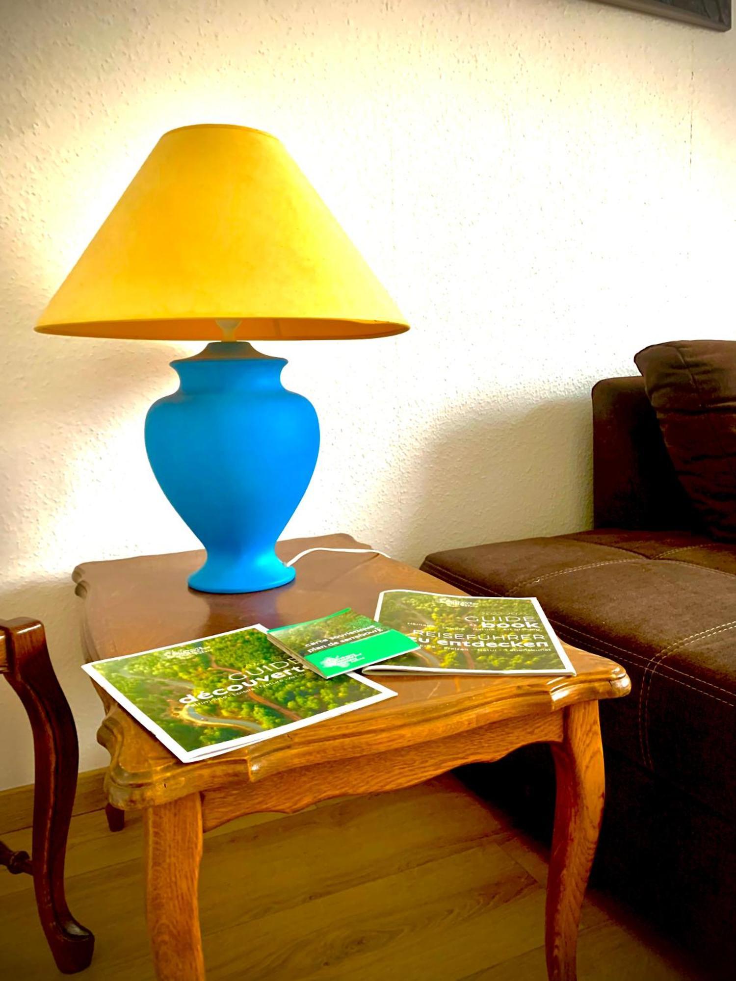 L Indemodable Renove Spacieux Et Lumineux Avec 2 Chambres Sarrebourg Eksteriør billede