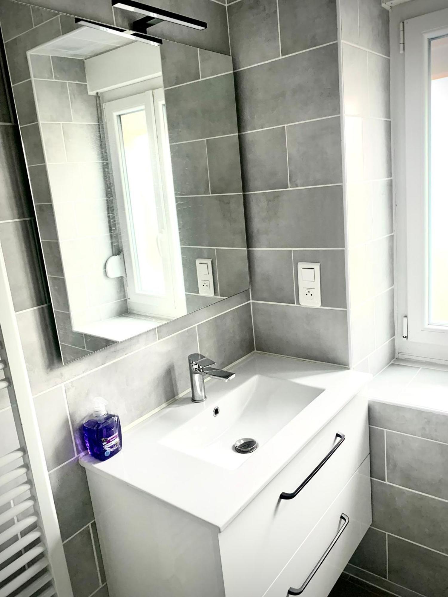 L Indemodable Renove Spacieux Et Lumineux Avec 2 Chambres Sarrebourg Eksteriør billede